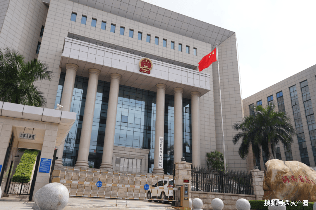 海南富豪陈嘉新被全国扫黑办关注 "高利贷大王"命运或将转折(图12)