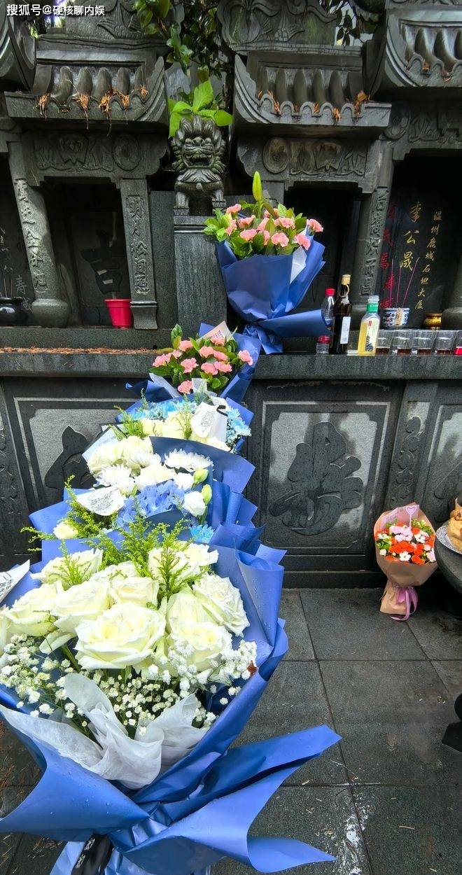 病人_鲜花_墓碑