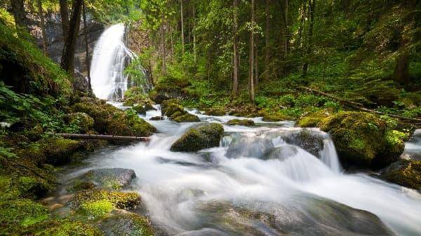 大师口中的情话！