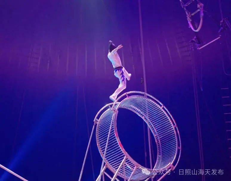 日照森林大马戏火热上演中！震撼心灵的视听盛宴，邀您即刻入席！(图6)