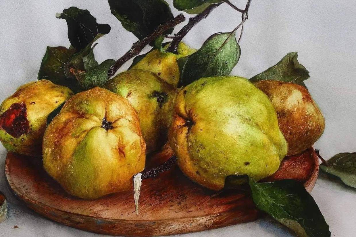 静物水彩画/当代艺术家佩蒂娅·塔涅娃（Petya Taneva）_搜狐网