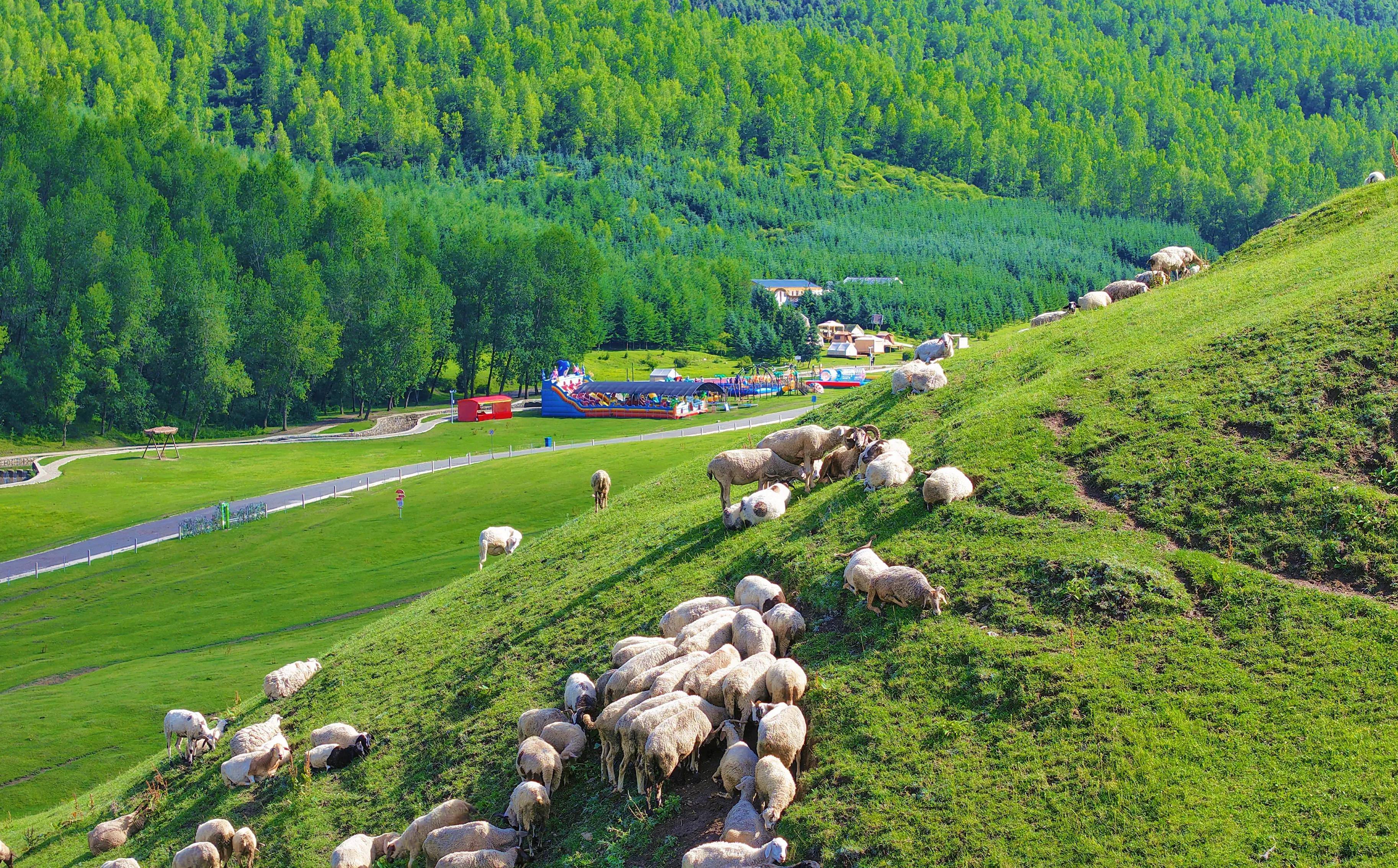 走进临夏:在耳子屲梁与竹子沟的风光里,享一段悠然时光
