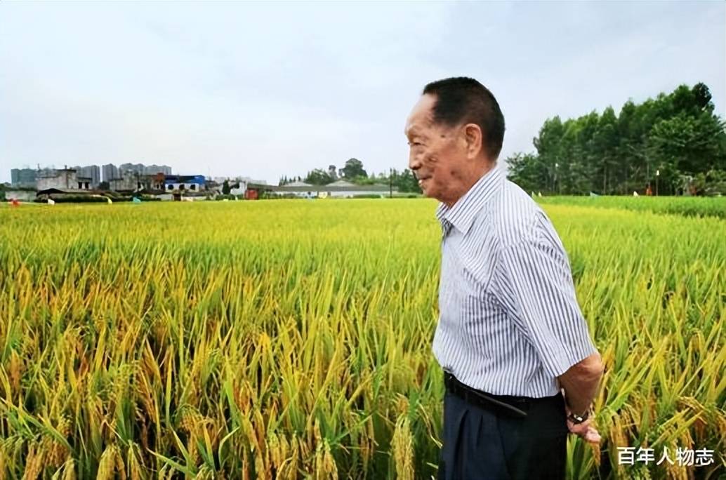 老师问袁隆平孙女:你爷爷是做什么的?孙女回答凸显袁是国之仁士