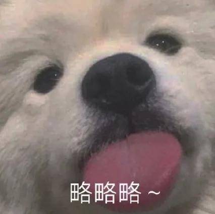 官司超10万件的海尔消金被重罚，疯狂的网贷该刹车了……