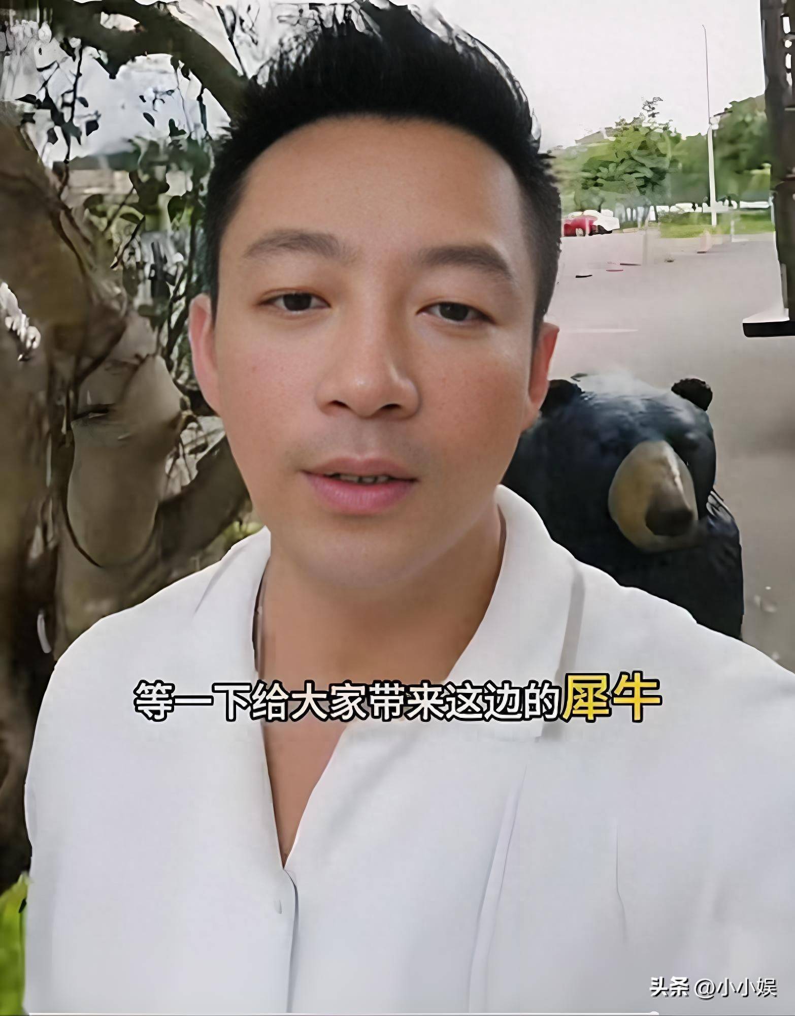 白天他们在爸爸去哪儿明星同款树屋酒店早早开玩打卡各处有趣动物