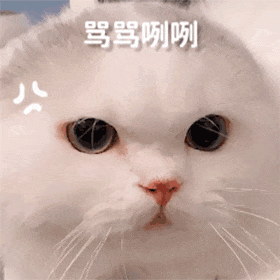贱兮兮的可爱表情包