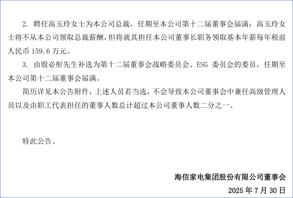 董事长高玉玲能将海信家电救回一线吗？