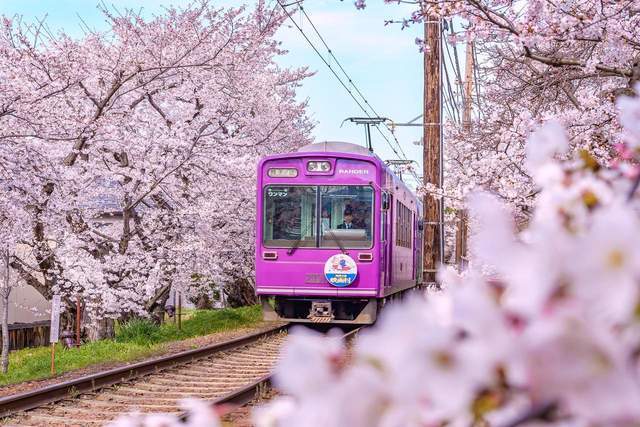 图片[3]-日本人为什么不向亲朋好友借钱？-华闻时空