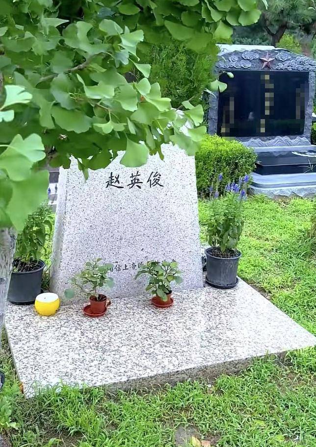 赵英俊墓地曝光,墓碑简单只有12个字,墓碑上的小红花惹人泪目