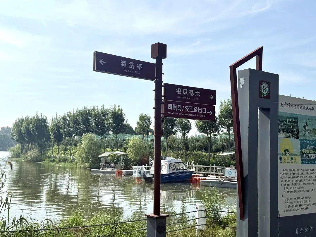 青州弥河国家湿地公园微提升改造,焕然一新