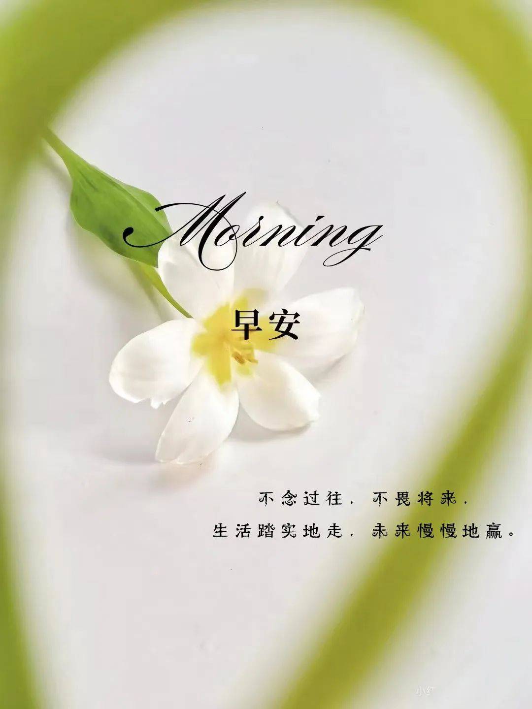 早上,请发一条很新的高情商朋友圈文案