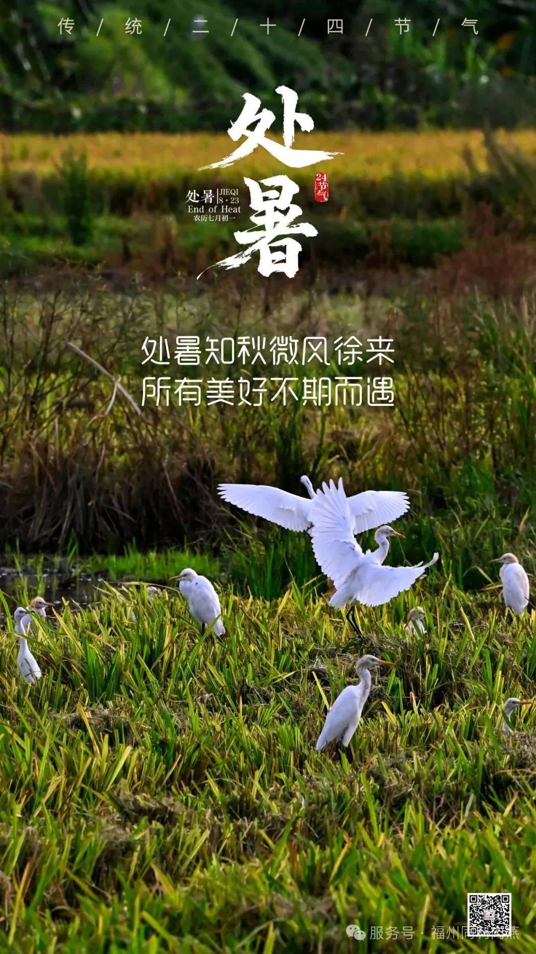 同利杯美食摄影大赛二十四节气处暑图片作品选登来啦