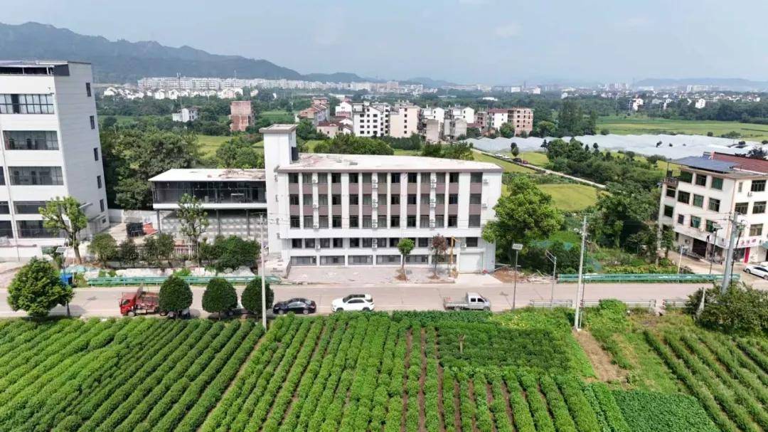 石涂装丨达沃宇许国其：良心筑屋，品质为基 