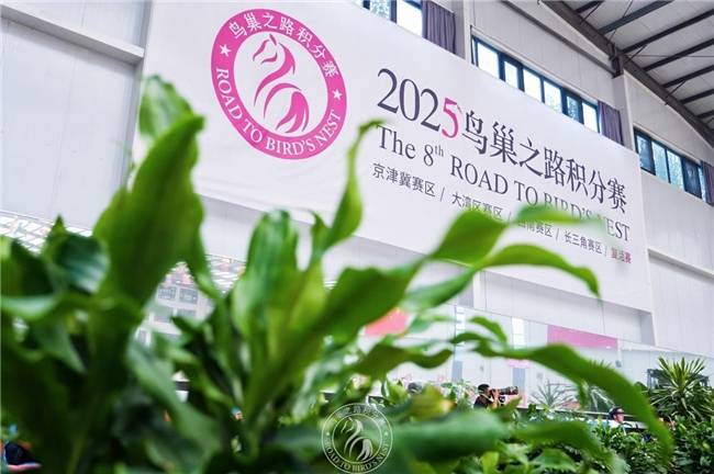 yl7703永利-2025鸟巢之路收官：第十二届浪琴表北京国际马术大师赛晋级阵容荣耀揭晓