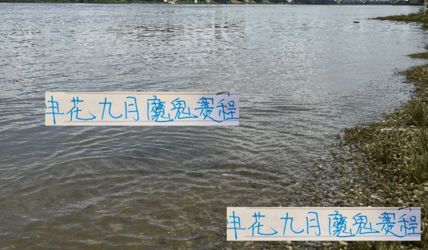 申花九月魔鬼赛程 联赛跟亚冠总得选择一个 如全要可能就四大皆空