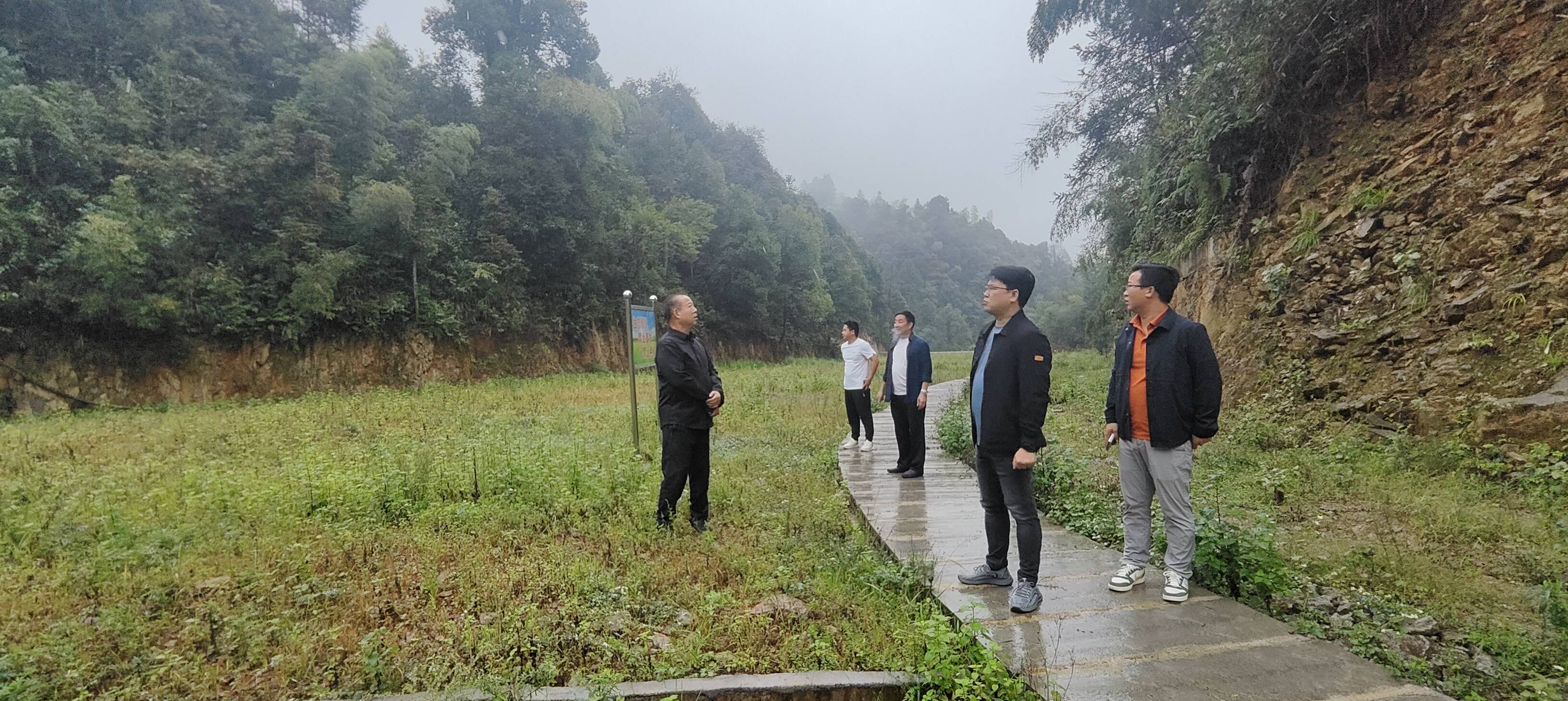 新化县政协第一民主监督组赴维山乡,炉观镇调研:深耕生态治理,绘就