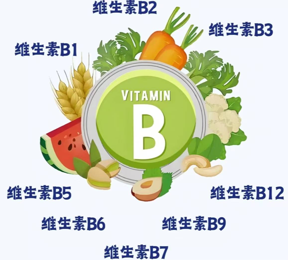 国产维生素b族哪个牌子好?315推荐十大维生素B族品牌,央视严选!_搜狐汽车_搜狐网