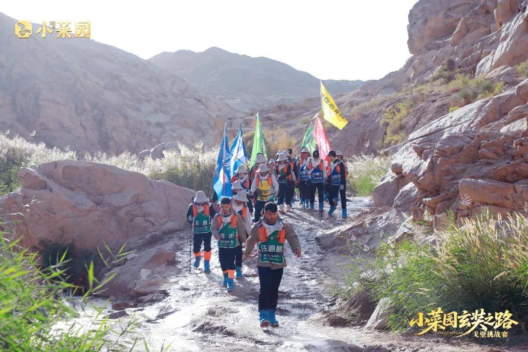 荣耀凯旋 | 小菜园玄奘之旅戈壁挑战赛圆满收官！