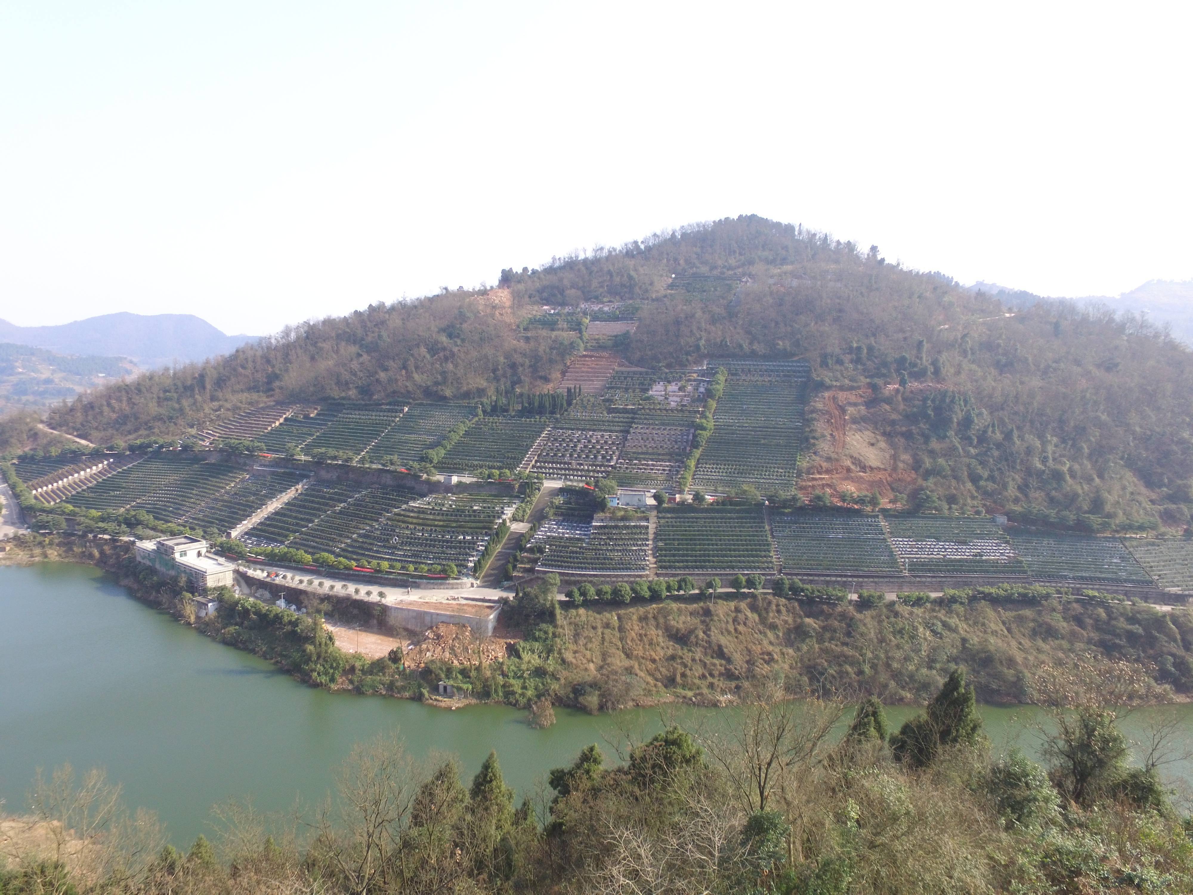 在线一键查询:私人对接,智能推荐优质墓园方案