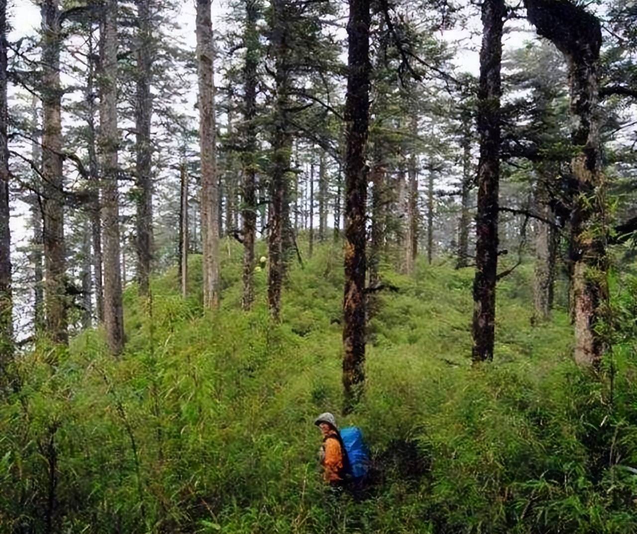 "黄泉路"真的存在吗?四川发现诡异现象,现今还没人能解释