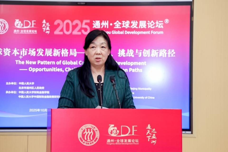 通州·全球发展论坛分论坛三隆重举行，专家热议全球资本市场发展新格局(图5)