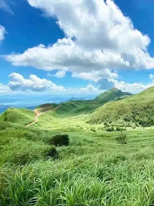 【大南山】11.13丨广东“小武功山”，大南山精华段穿越，邂逅最美云中草原