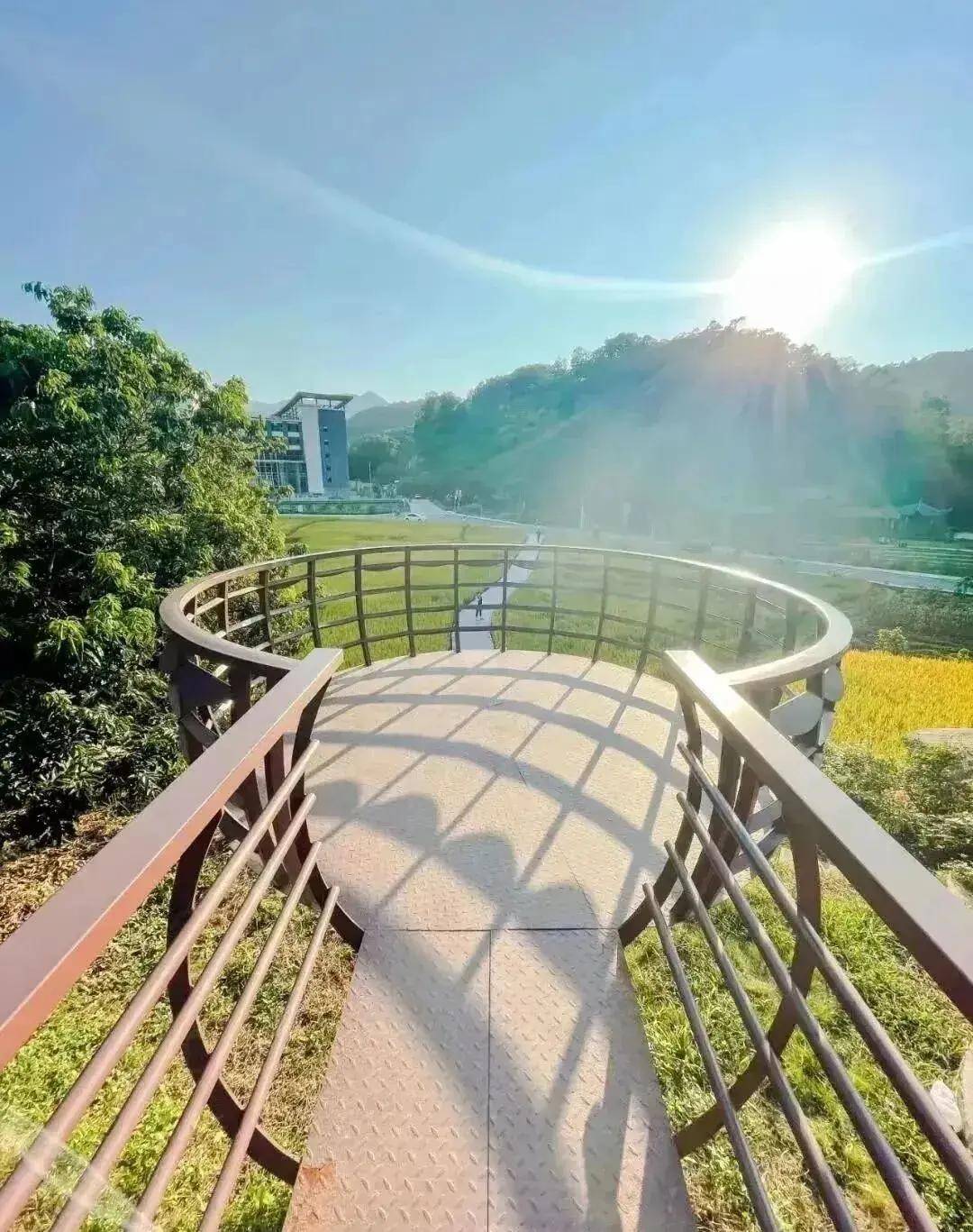 【广州三大秋色】11月15日丨上罗千亩柿子海+艾米稻香小镇+罗洞工匠小镇