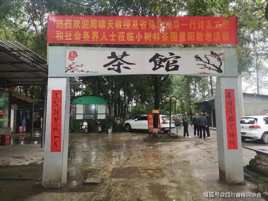 蜀诗-蜀诗资讯-金秋开寿菊 书画暖情长—2025年第45期(总第81期)(图4)