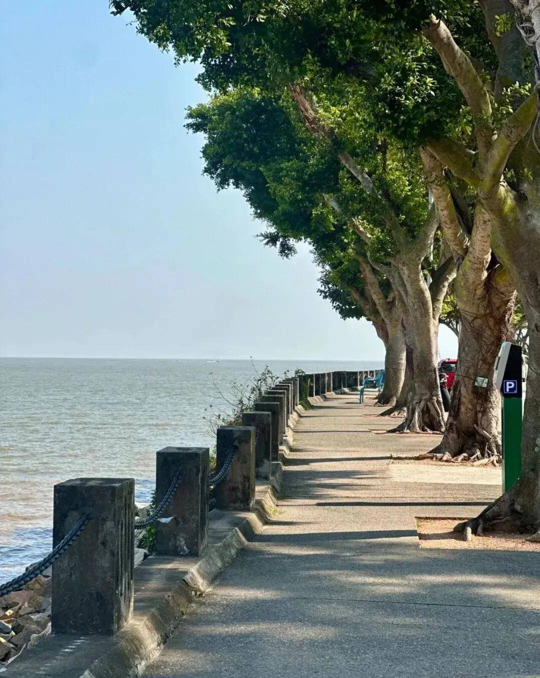 【澳门徒步】11.02周日丨徒步澳门后花园,发现澳门的另一面,澳门山海环线徒步