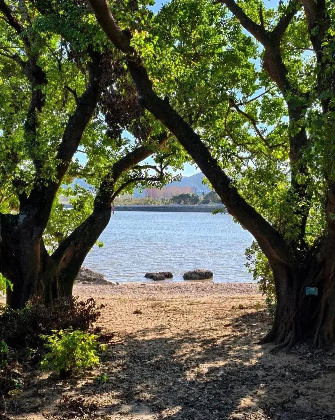 【澳门徒步】11.02周日丨徒步澳门后花园,发现澳门的另一面,澳门山海环线徒步