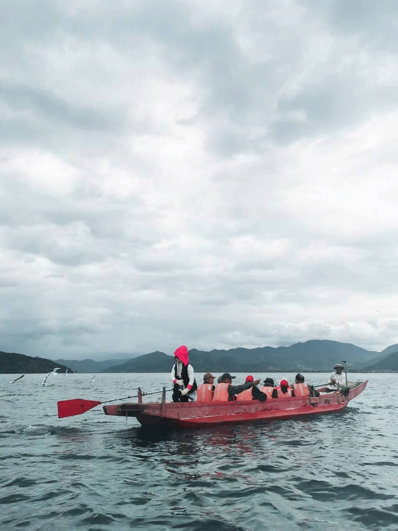 —泸沽湖上的红嘴海鸥