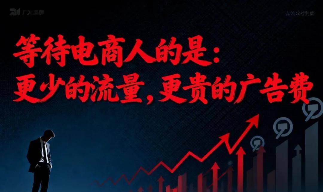 独家|2025年双11纪要:国内电商已死,算法和低价杀死了它!-锋巢网