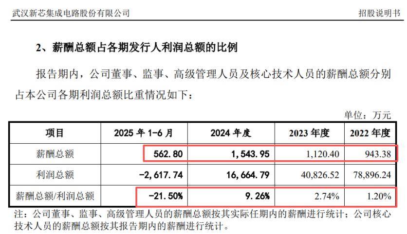 新芯股份IPO:无实控人董事长美国籍 2025年前三季预亏1.2亿(图7)