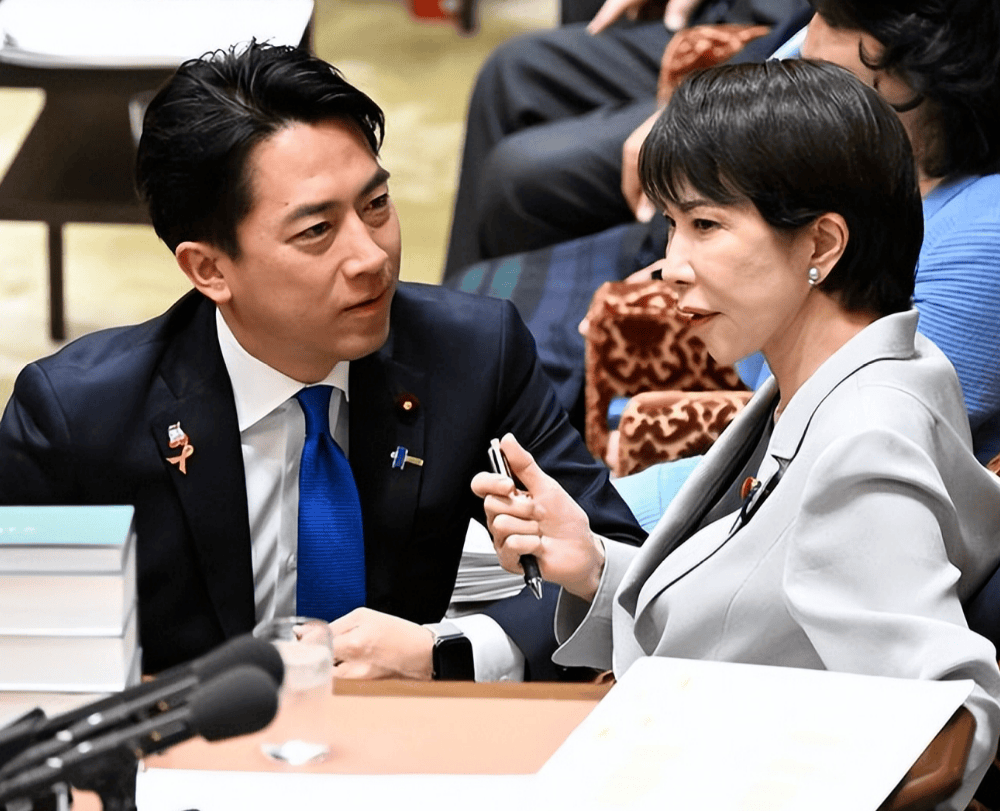 高市早苗的个人简介 高市早苗为什么可以当首相?