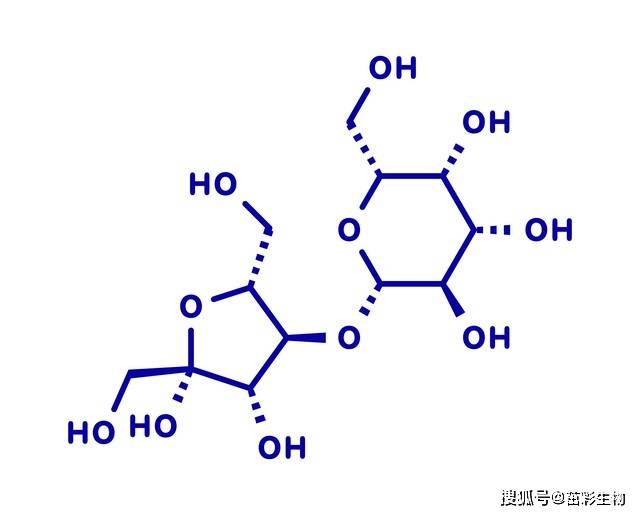 nadp - 苹果酸脱氢酶