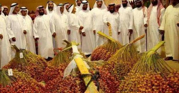 图片[7]-它是迪拜土豪最爱吃的水果，是财富的象征，到了中国却不受欢迎！-华闻时空