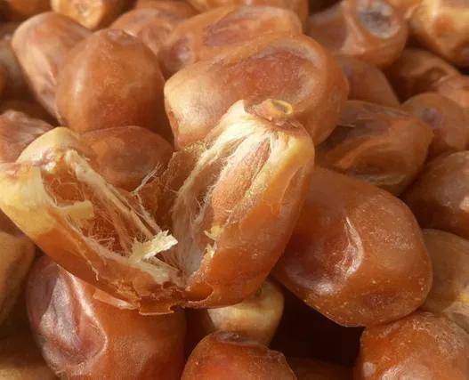 图片[11]-它是迪拜土豪最爱吃的水果，是财富的象征，到了中国却不受欢迎！-华闻时空