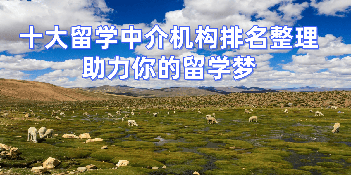 重庆沙坪坝留学中介留学在线