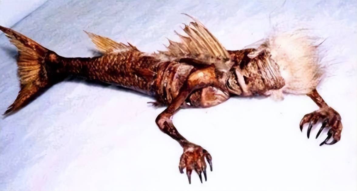 有一艘载有科学家和军事专家的探测船,在古巴外海捕获了一个小孩,这个