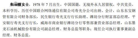 晨鸣纸业近10亿票据逾期:被执行超7亿 副总经理履历涉遗漏(图4)