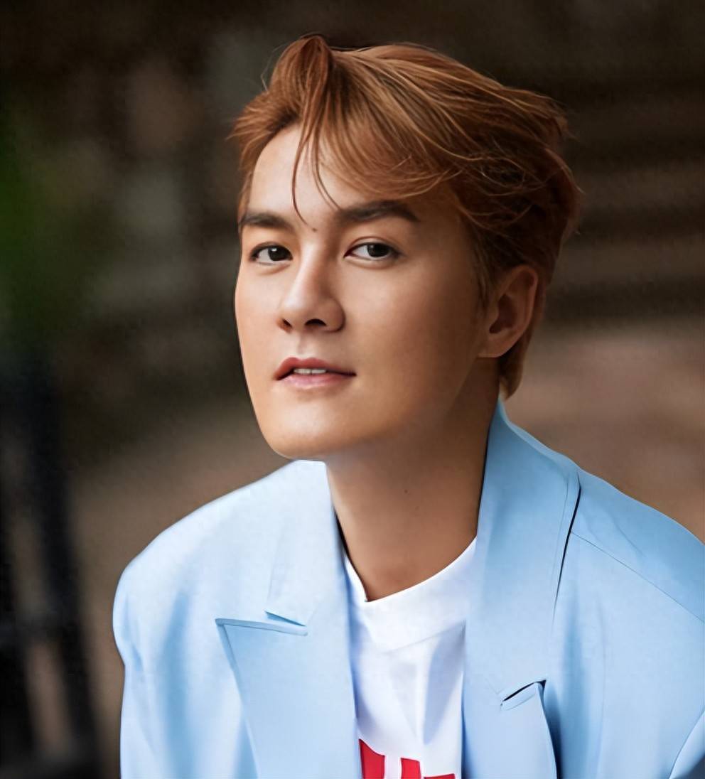 事实证明,曾经拒娶何超莲的吴克群,早已走上了明星的另一条大道