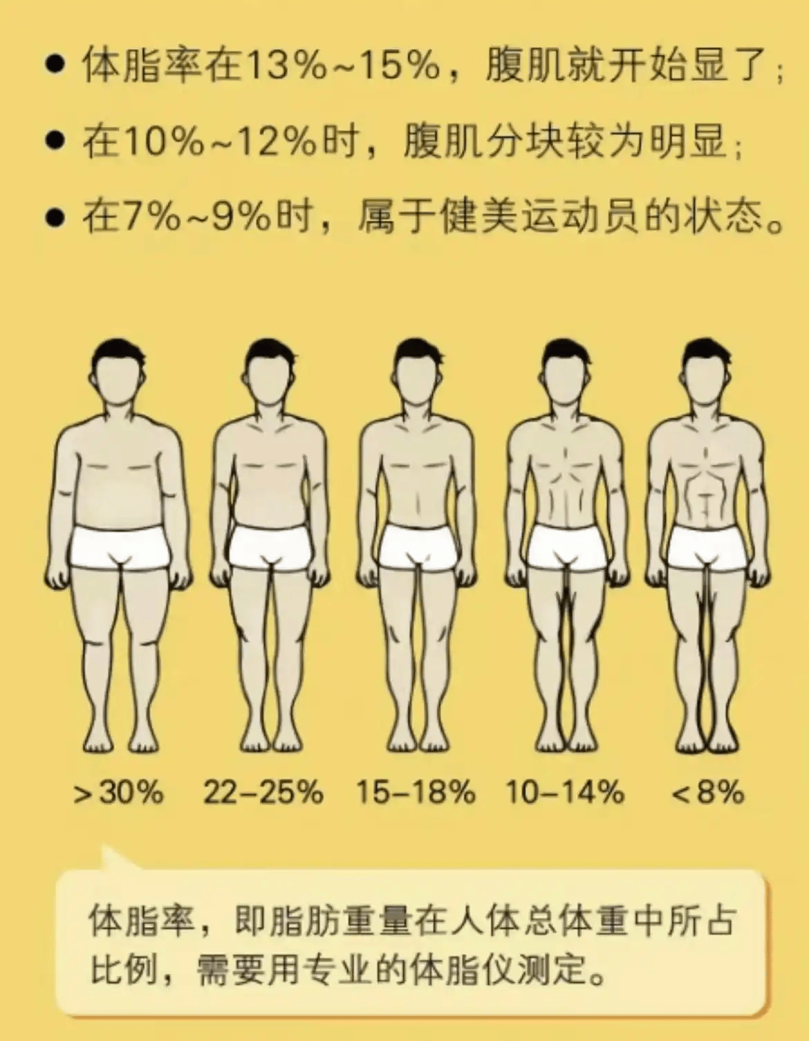 健身_肌肉_锻炼