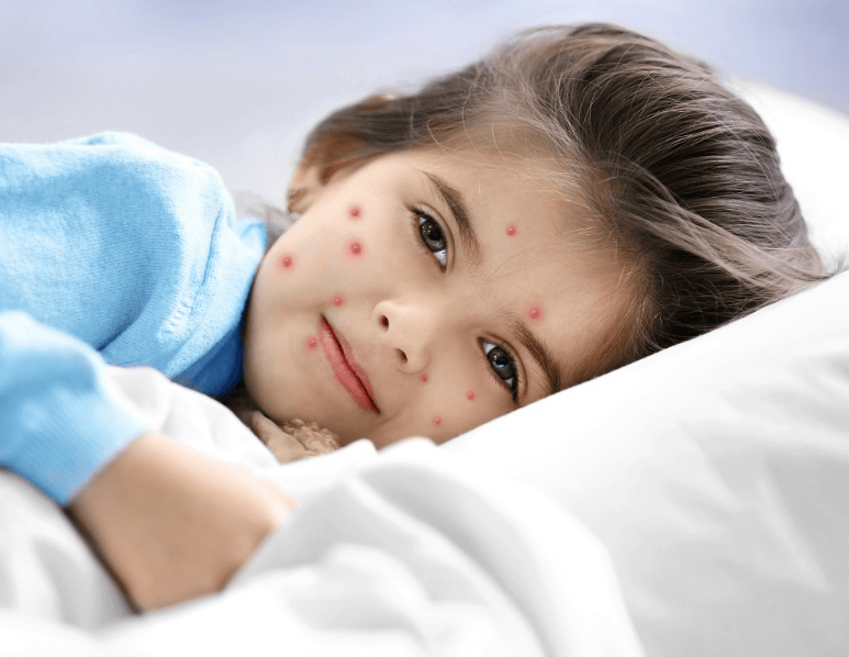 2026家用除螨仪哪个牌子效果好?甄选排行榜前十除螨仪测评!