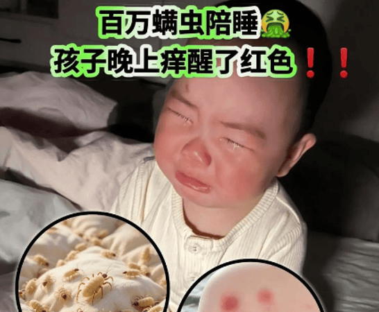 除螨仪哪个品牌好用？家用除螨仪怎么选？十大除螨仪品牌排行榜测评，口碑常青款抢先看！