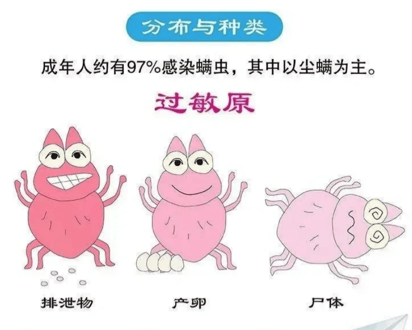 除螨仪排行第一名是哪个?最好的除螨仪是哪个牌子?畅销全网的十大除螨仪排名测评,告别尘螨!