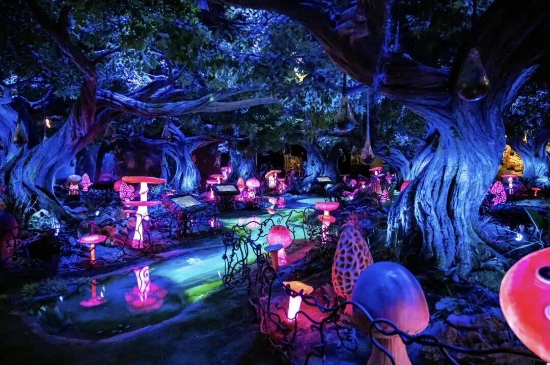  横琴3.6万㎡“莲花觅境”夜景闪亮登场！(图9)