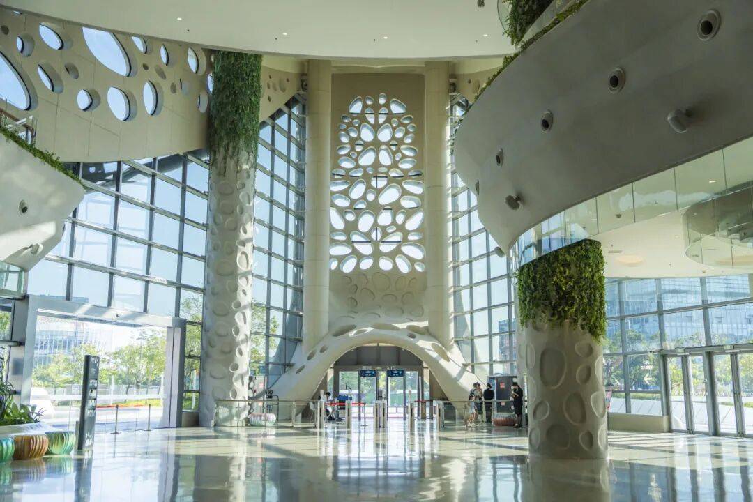  横琴3.6万㎡“莲花觅境”夜景闪亮登场！(图4)