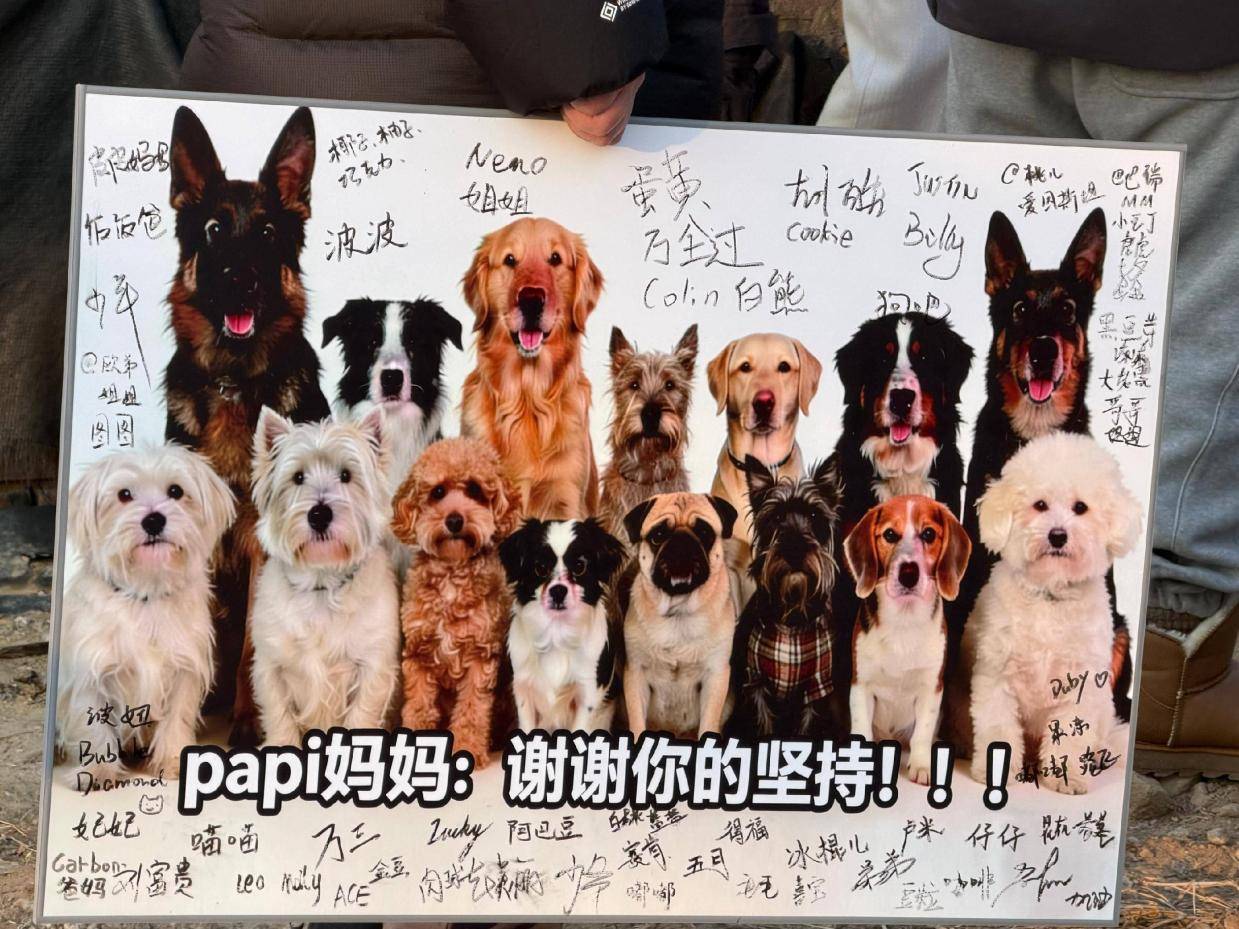 我去谁给我打钱了谢谢你🫶, image size:1239x929