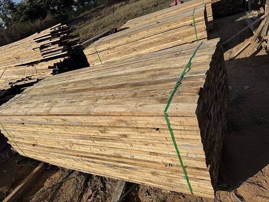 互联网+重塑模板行业生态 中国模板网搭建产业新桥梁！