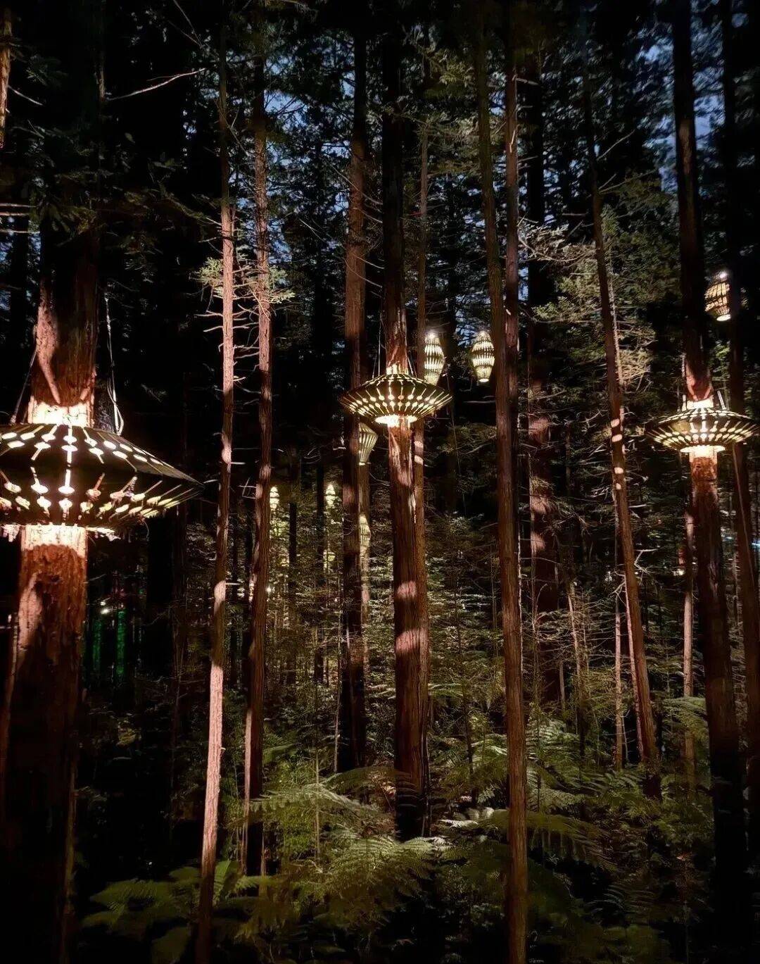 forestpark